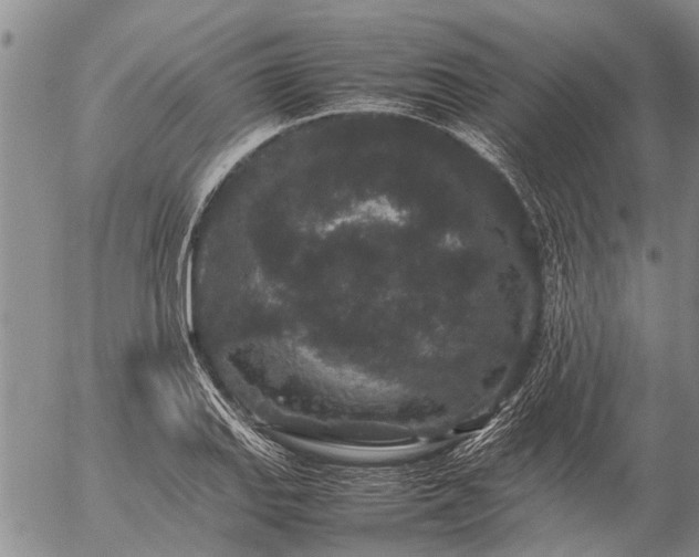 X0000057101127200509161648