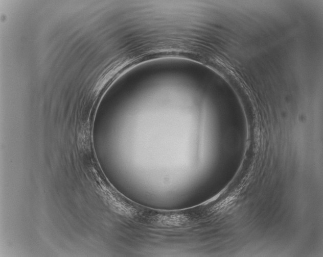 X0000057101129200509161648