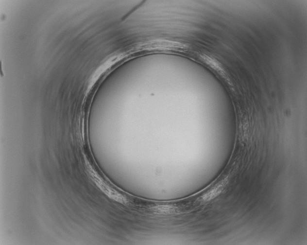 X0000057101130200509161648