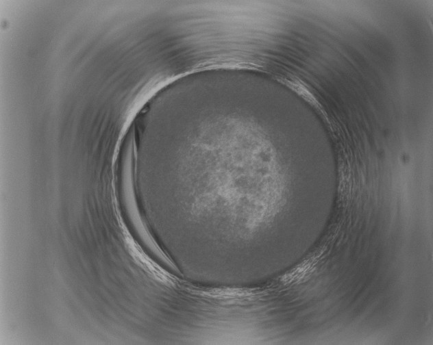 X0000057101132200509161648