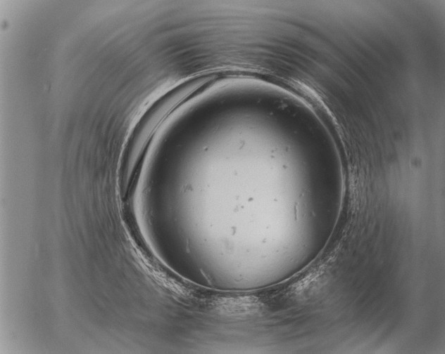 X0000057101133200509161648