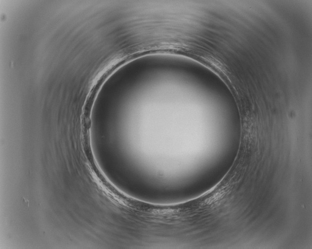 X0000057101135200509161648