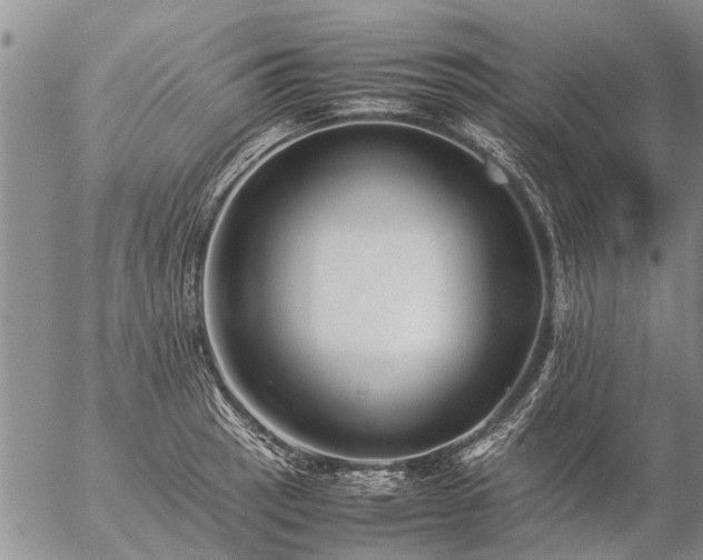 X0000057101137200509161648