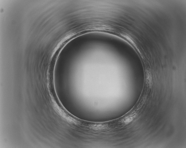 X0000057101139200509161648