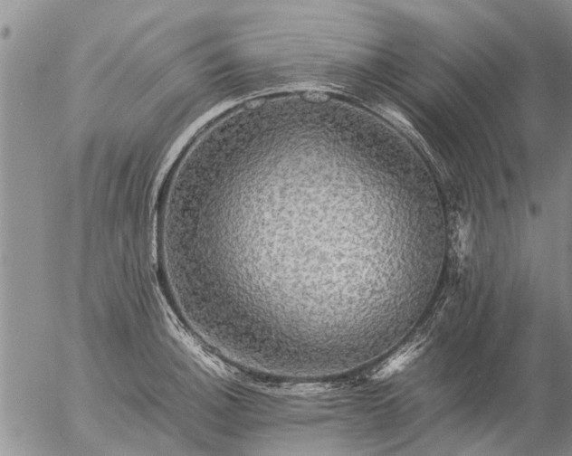 X0000057101140200509161648