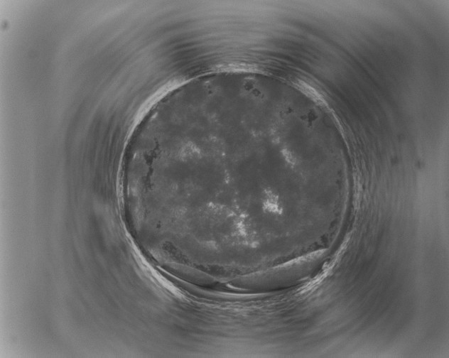 X0000057101141200509161648