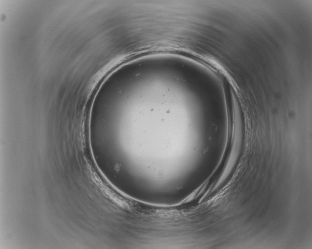 X0000057101142200509161648