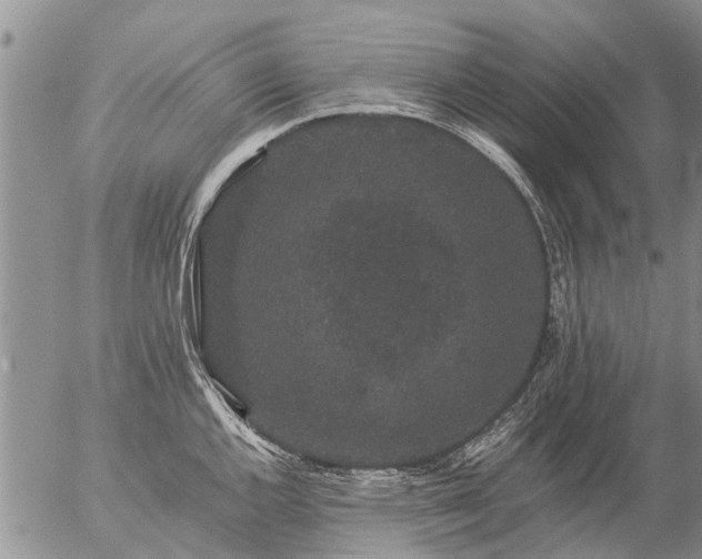 X0000057101144200509161648