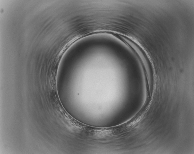 X0000057101145200509161648