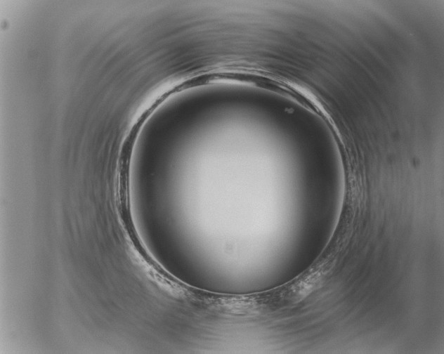 X0000057101147200509161648