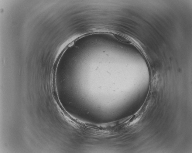 X0000057101149200509161648