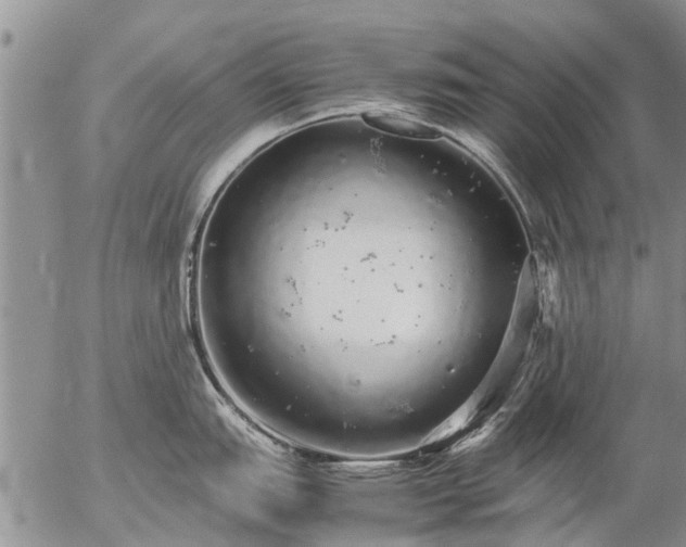 X0000057101151200509161648