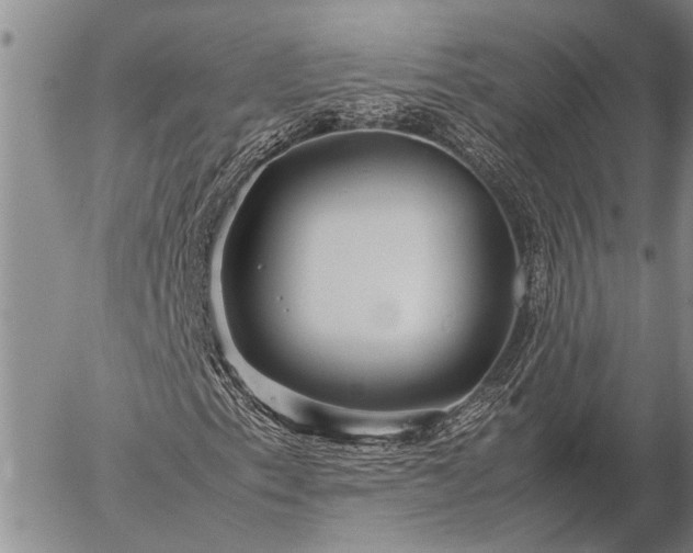 X0000057101153200509161647