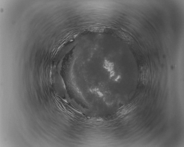 X0000057101154200509161647