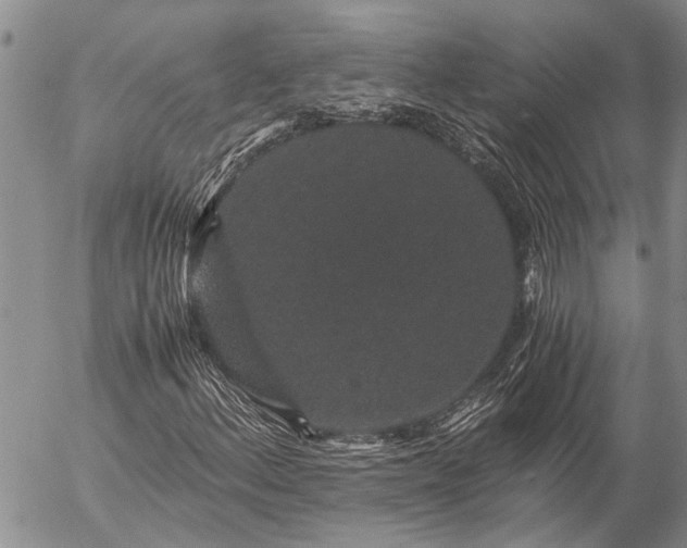 X0000057101156200509161647