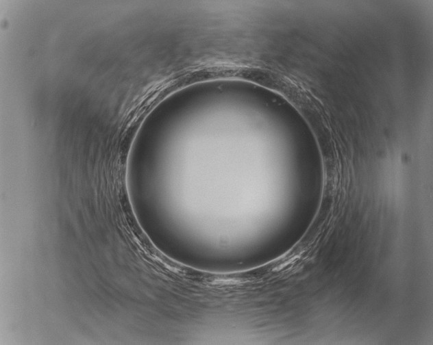 X0000057101157200509161647