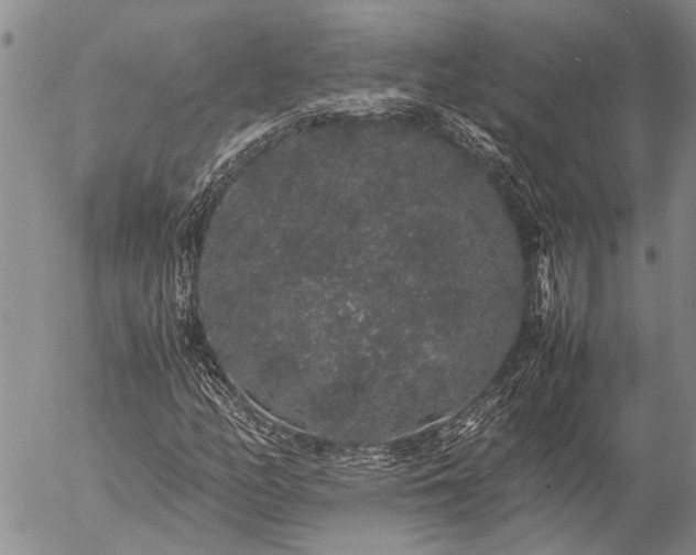 X0000057101158200509161647