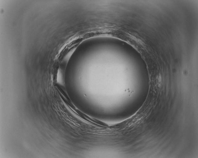 X0000057101160200509161647