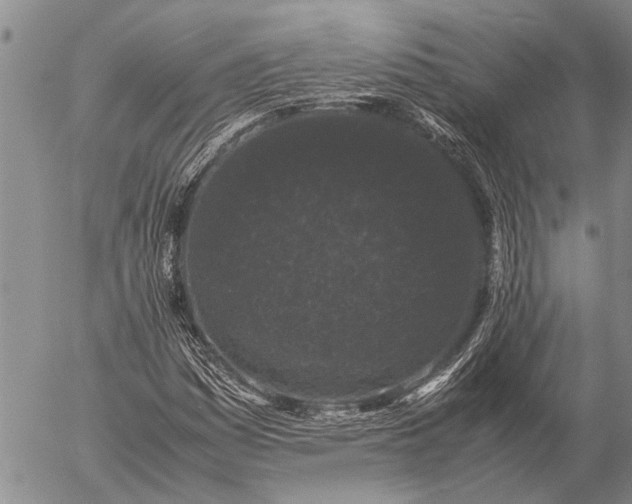 X0000057101161200509161647