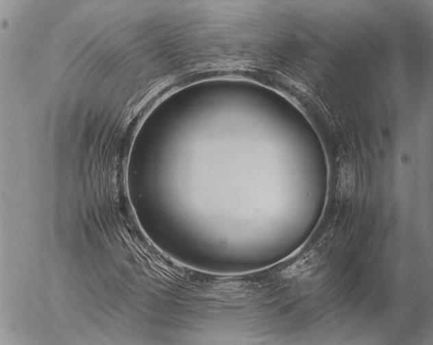 X0000057101162200509161647