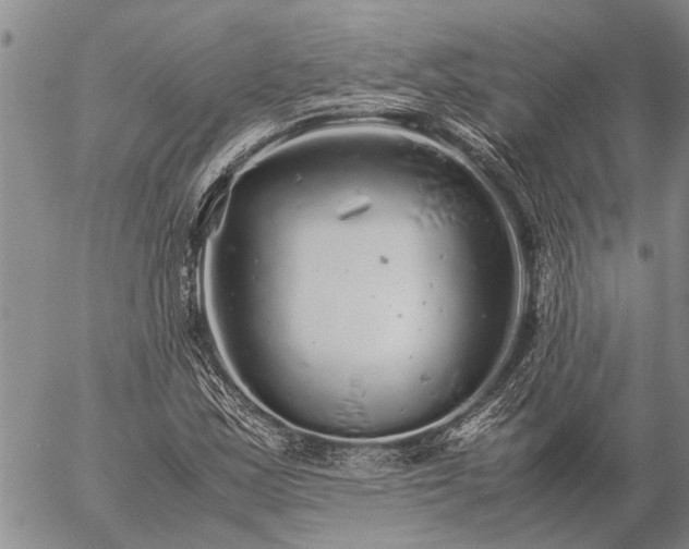 X0000057101163200509161647