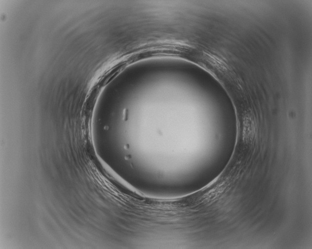 X0000057101164200509161647