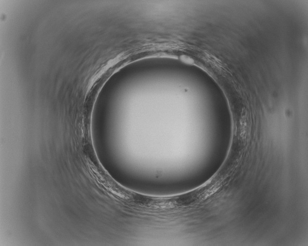 X0000057101165200509161647