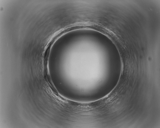 X0000057101168200509161647