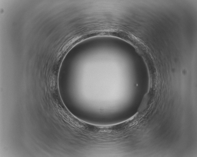 X0000057101169200509161647