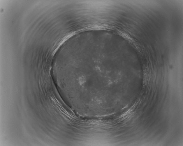 X0000057101170200509161647