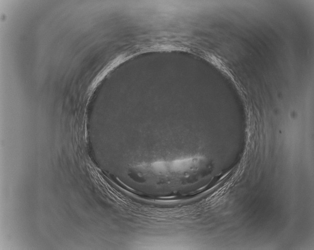 X0000057101173200509161647