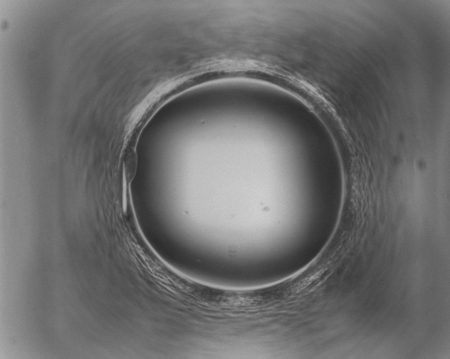 X0000057101175200509161647