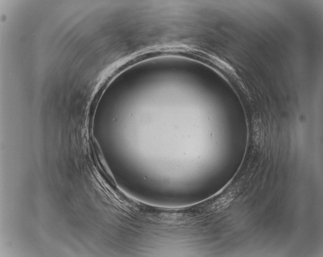 X0000057101176200509161647