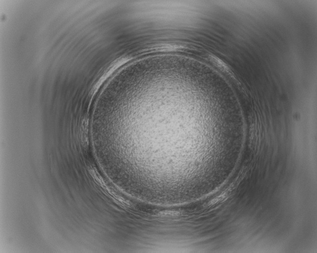 X0000057101178200509161647