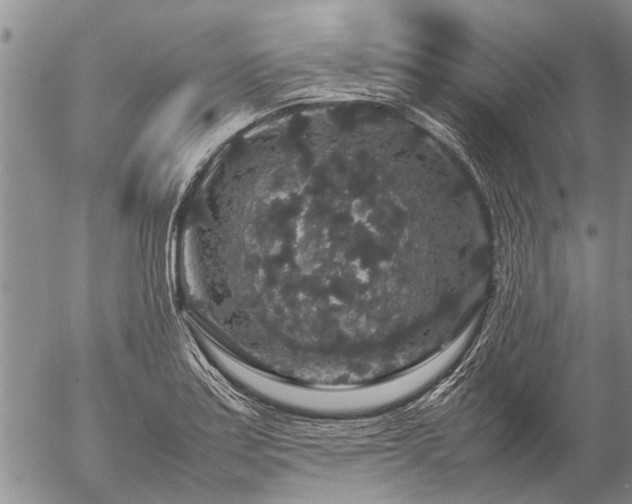 X0000057101179200509161647