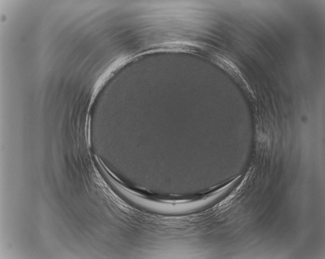 X0000057101180200509161647