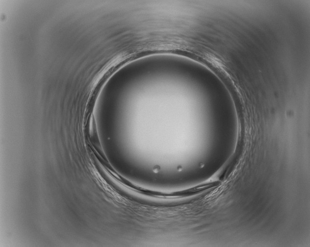 X0000057101181200509161647