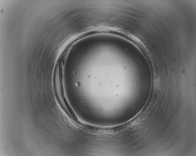 X0000057101183200509161647