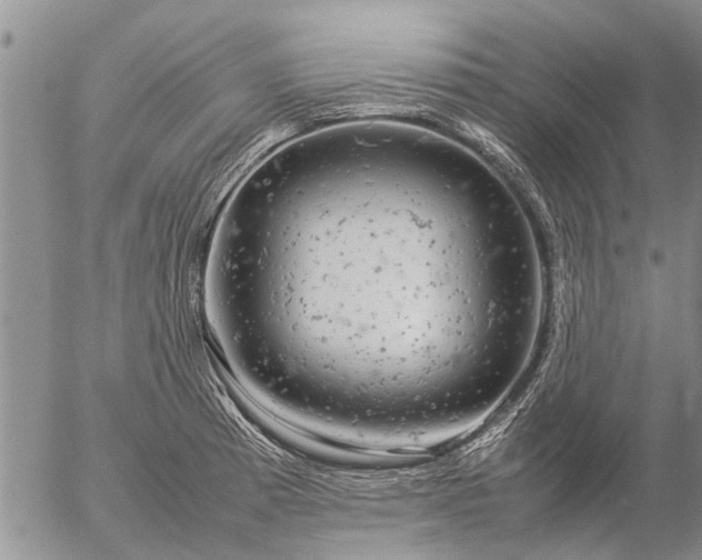 X0000057101185200509161647