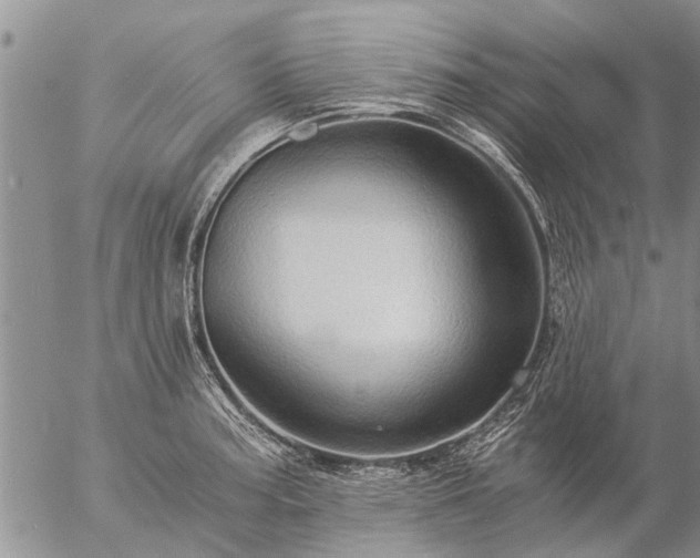 X0000057101187200509161647