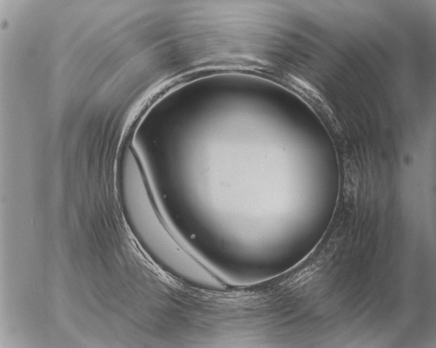 X0000057101188200509161647