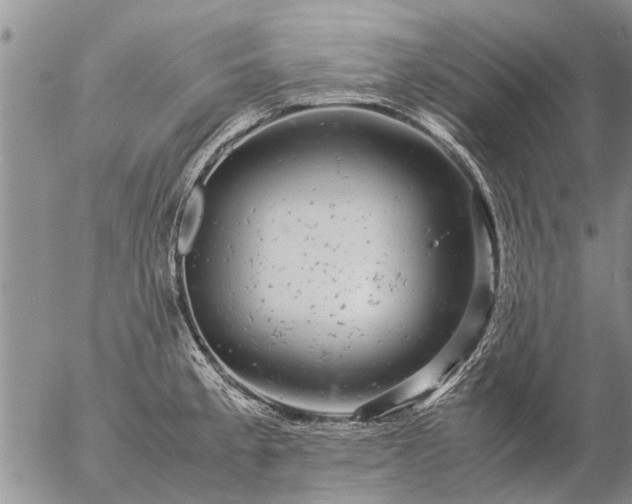 X0000057101189200509161647