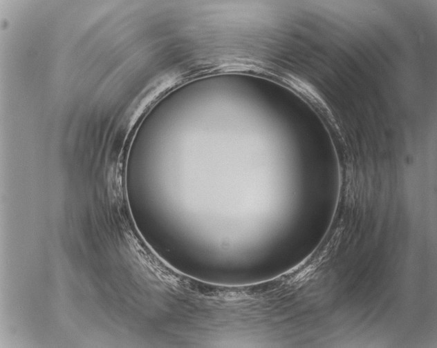 X0000057101190200509161647