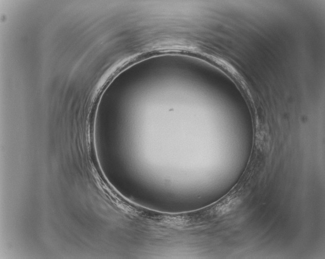 X0000057101191200509161647