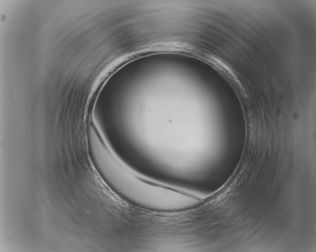 X0000057101192200509161647