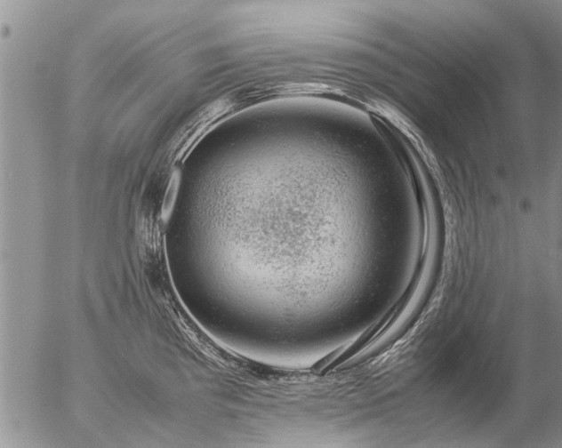 X0000057101193200509161647