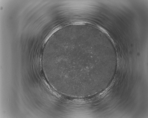 X0000057101194200509161647