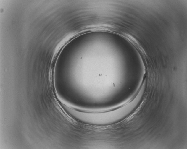 X0000057101196200509161647