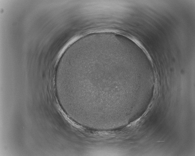 X0000057101197200509161647