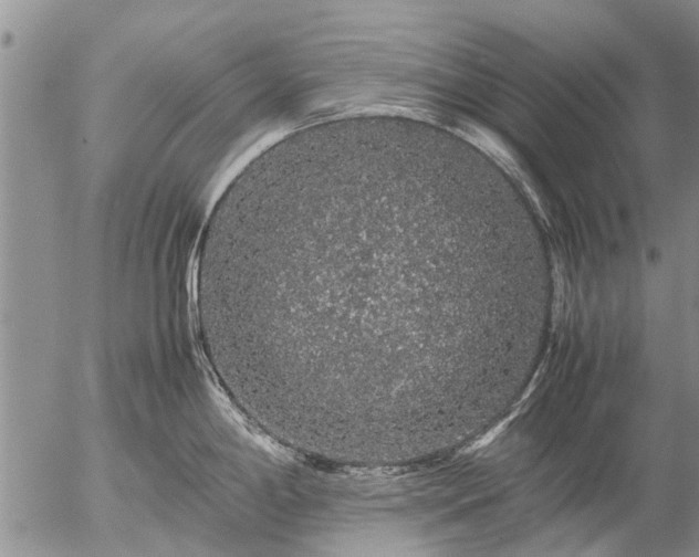 X0000057101198200509161647